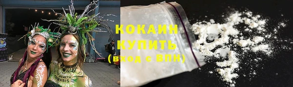 a pvp Няндома