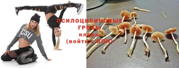 мет Нягань