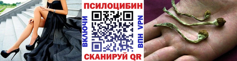 наркотики  Белогорск  Псилоцибиновые грибы GOLDEN TEACHER 