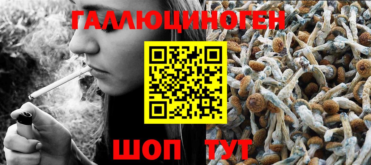 Галлюциногенные грибы мицелий  Галлюциногенные грибы Magic Shrooms  Белогорск  где купить наркоту  Вход с VPN 